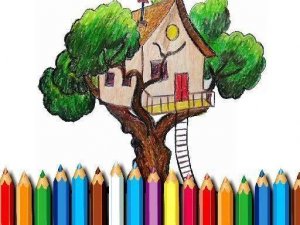 Canopy Cottage Color Studio