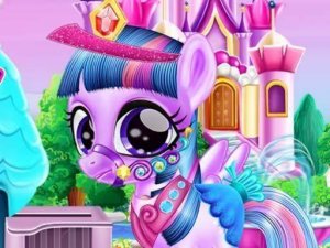 Pony Grooming and Style Studio