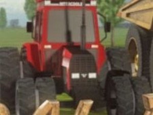 Rural Race Arcade Game