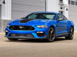 Mustang Match Jigsaw Puzzle