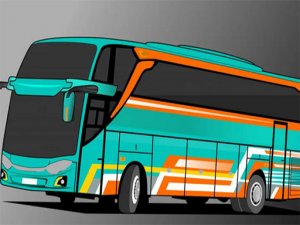 Village Bus Driving Adventure