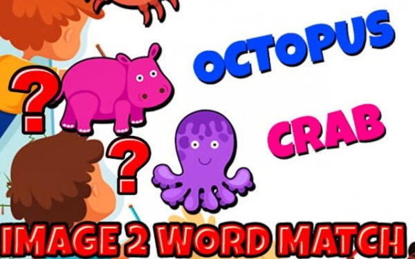 Image To Word Match: Picture Vocabulary Puzzle Game