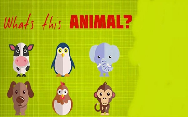 What's That Animal: Fun Learning Game Online