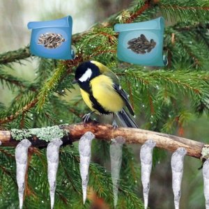 Frozen Forest Puzzle Adventure